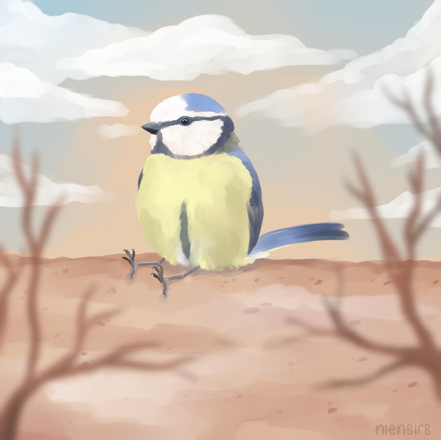 Untypically-sitting Blue Tit