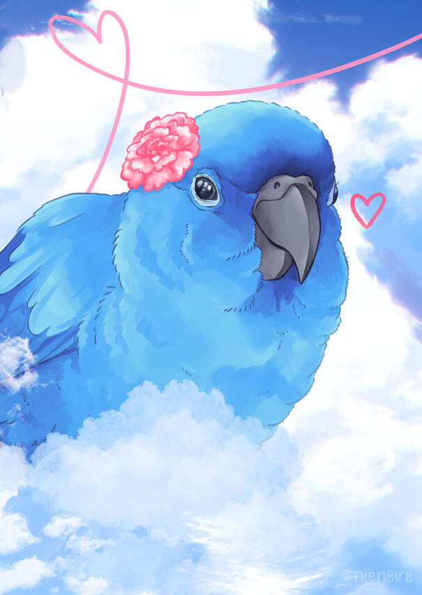 Nienbirb (2025)