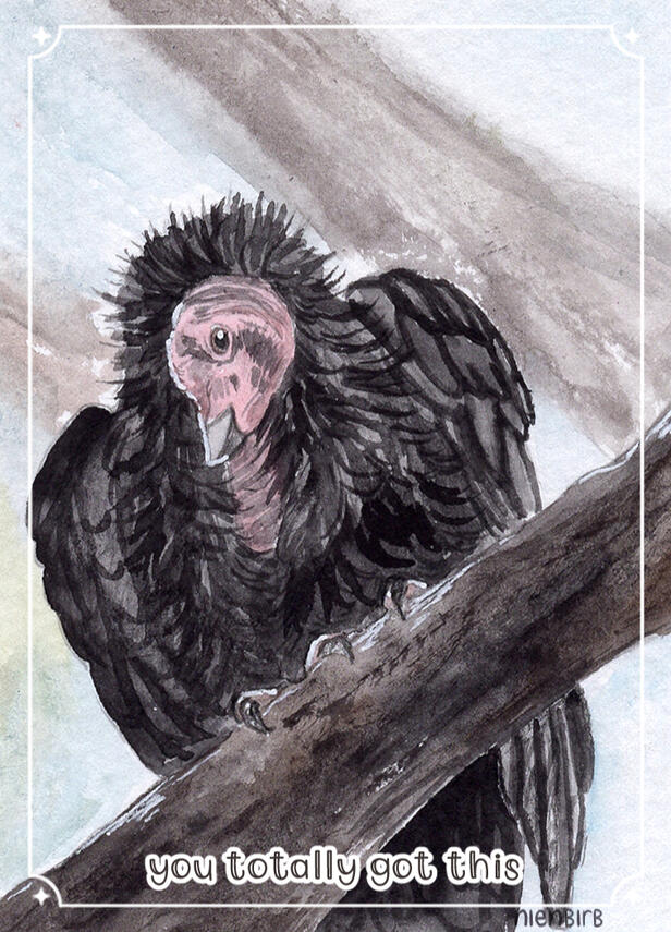 California Condor California Condor