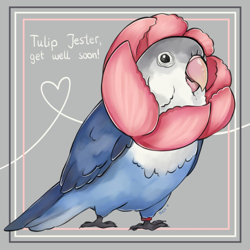 Tulip Jester (for Birdhism)