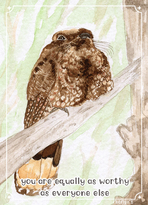 Puerto Rican Nightjar