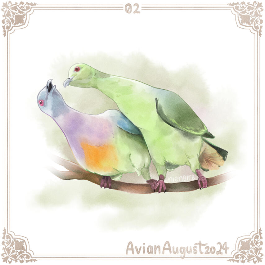 Pink-necked green pigeon