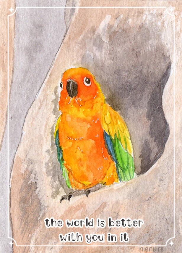Sun Conure