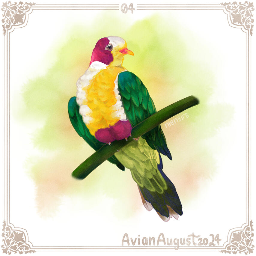 Yellow-breasted fruit-dove